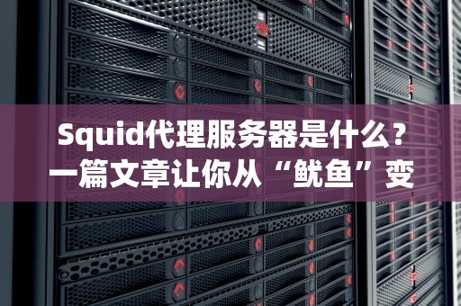 Squid代理服务器是什么？一篇文章让你从“鱿鱼”变“大佬”！