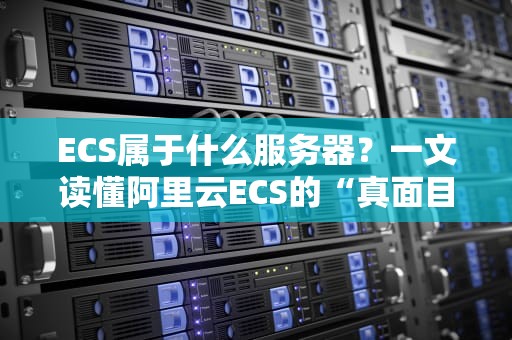 ECS属于什么服务器？一文读懂阿里云ECS的“真面目”！