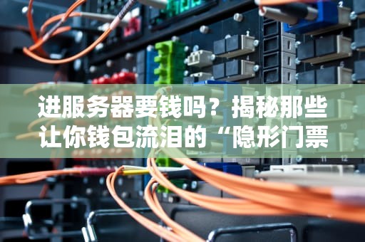 进服务器要钱吗？揭秘那些让你钱包流泪的“隐形门票”