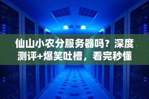仙山小农分服务器吗？深度测评+爆笑吐槽，看完秒懂！