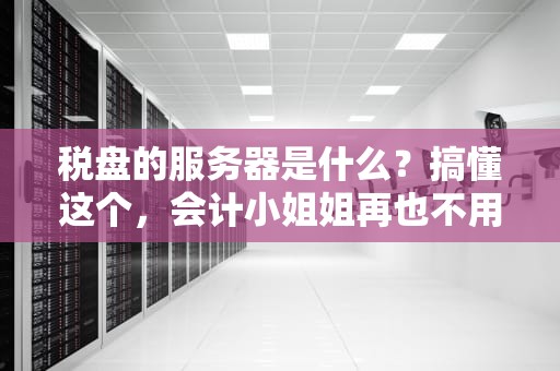 税盘的服务器是什么？搞懂这个，会计小姐姐再也不用加班到秃头！