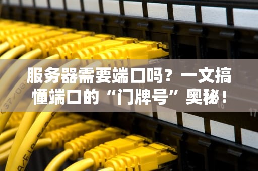 服务器需要端口吗？一文搞懂端口的“门牌号”奥秘！