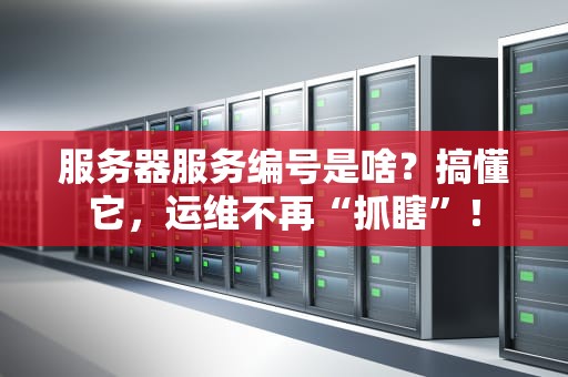 服务器服务编号是啥？搞懂它，运维不再“抓瞎”！