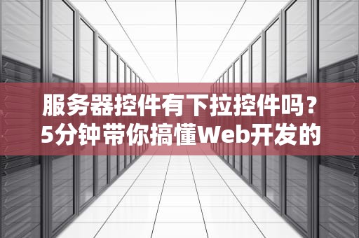 服务器控件有下拉控件吗？5分钟带你搞懂Web开发的“选择困难症”