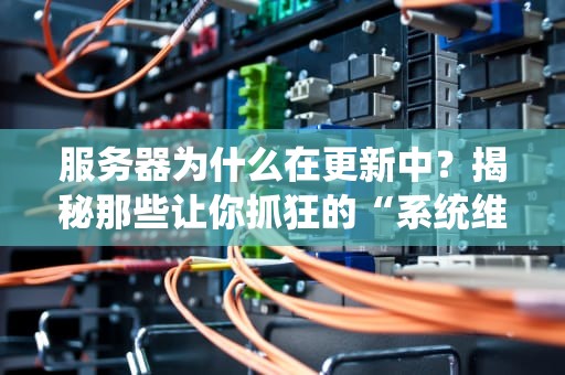 服务器为什么在更新中？揭秘那些让你抓狂的“系统维护”真相！