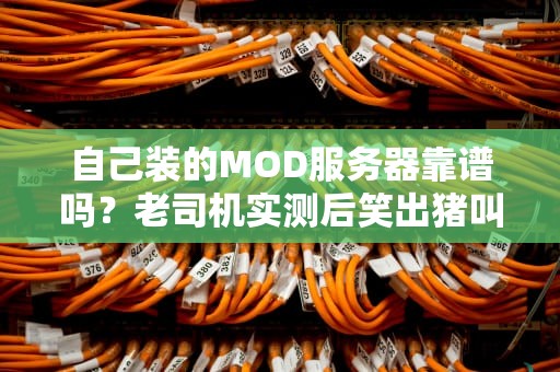 自己装的MOD服务器靠谱吗？老司机实测后笑出猪叫！