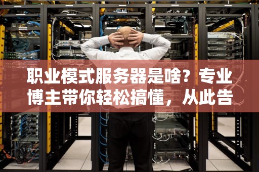 职业模式服务器是啥？专业博主带你轻松搞懂，从此告别“小白”标签！