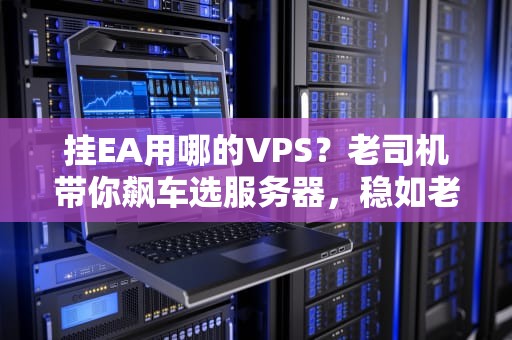 挂EA用哪的VPS？老司机带你飙车选服务器，稳如老狗还能省钱！