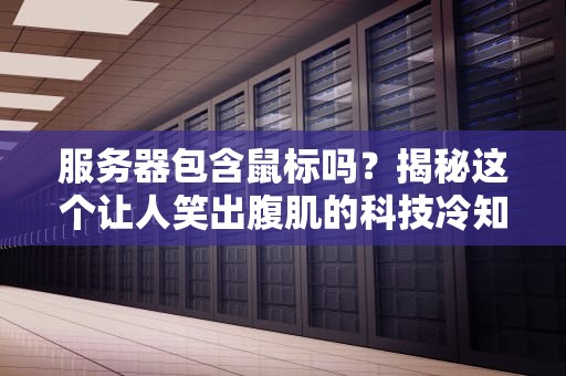 服务器包含鼠标吗？揭秘这个让人笑出腹肌的科技冷知识！