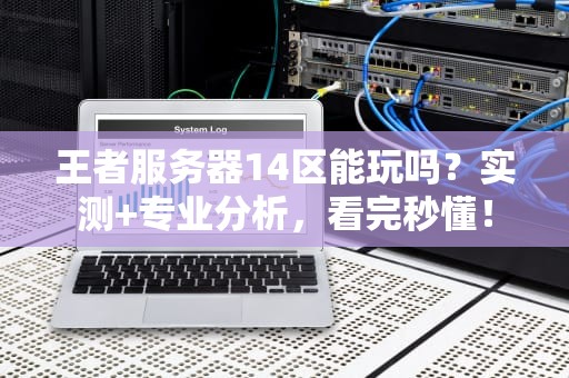 王者服务器14区能玩吗？实测+专业分析，看完秒懂！
