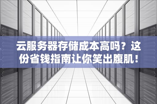 云服务器存储成本高吗？这份省钱指南让你笑出腹肌！