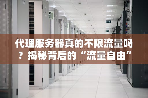 代理服务器真的不限流量吗？揭秘背后的“流量自由”真相！