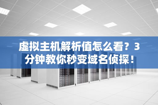 虚拟主机解析值怎么看？3分钟教你秒变域名侦探！