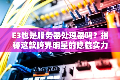 E3也是服务器处理器吗？揭秘这款跨界明星的隐藏实力！