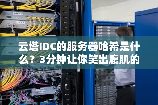 云塔IDC的服务器哈希是什么？3分钟让你笑出腹肌的硬核科普！