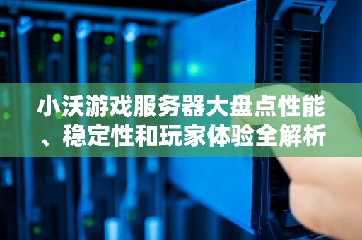小沃游戏服务器大盘点性能、稳定性和玩家体验全解析！