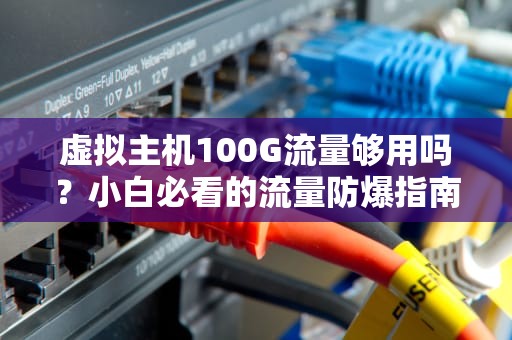 虚拟主机100G流量够用吗？小白必看的流量防爆指南！