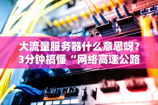 大流量服务器什么意思呀？3分钟搞懂“网络高速公路”的奥妙！