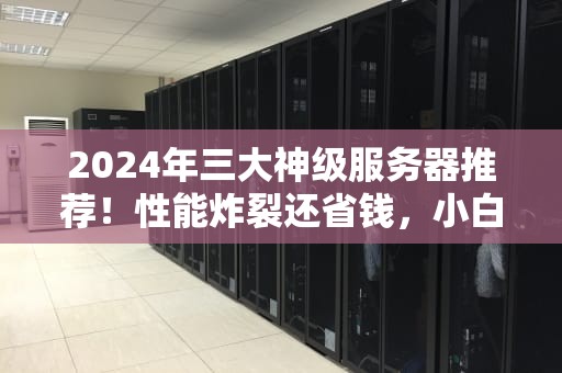 2024年三大神级服务器推荐！性能炸裂还省钱，小白也能秒懂
