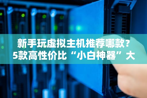 新手玩虚拟主机推荐哪款？5款高性价比“小白神器”大盘点！