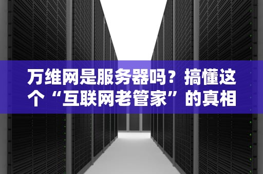 万维网是服务器吗？搞懂这个“互联网老管家”的真相！