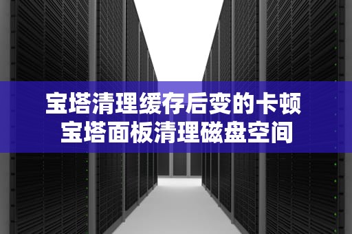 宝塔清理缓存后变的卡顿 宝塔面板清理磁盘空间