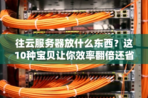 往云服务器放什么东西？这10种宝贝让你效率翻倍还省钱！