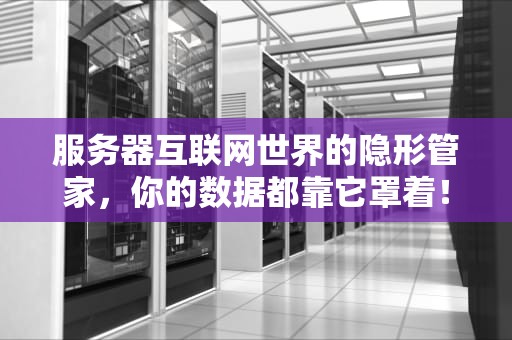 服务器互联网世界的隐形管家，你的数据都靠它罩着！