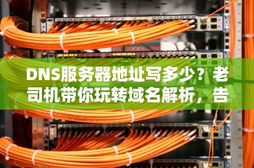 DNS服务器地址写多少？老司机带你玩转域名解析，告别卡顿！