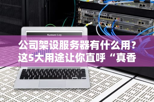 公司架设服务器有什么用？这5大用途让你直呼“真香”！