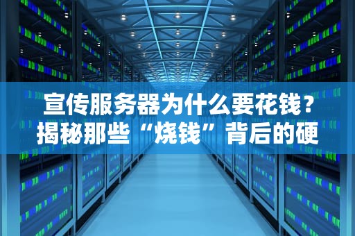 宣传服务器为什么要花钱？揭秘那些“烧钱”背后的硬核逻辑！