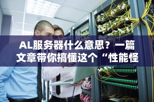 AL服务器什么意思？一篇文章带你搞懂这个“性能怪兽”的奥秘！