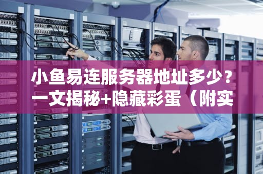 小鱼易连服务器地址多少？一文揭秘+隐藏彩蛋（附实测数据）