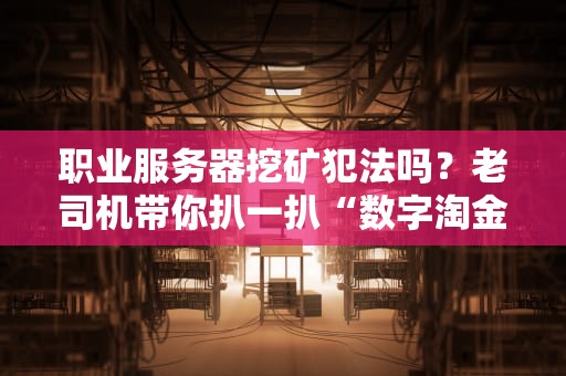 职业服务器挖矿犯法吗？老司机带你扒一扒“数字淘金”那些坑！