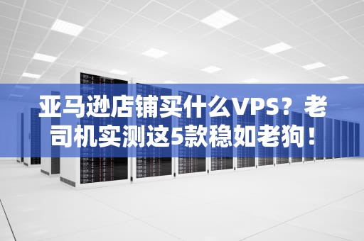 亚马逊店铺买什么VPS？老司机实测这5款稳如老狗！