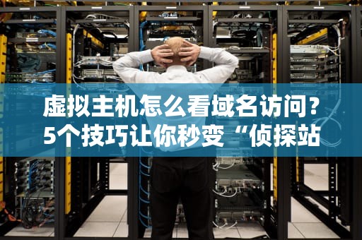 虚拟主机怎么看域名访问？5个技巧让你秒变“侦探站长”！