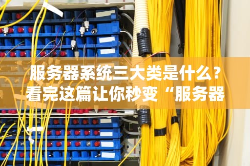 服务器系统三大类是什么？看完这篇让你秒变“服务器懂王”！