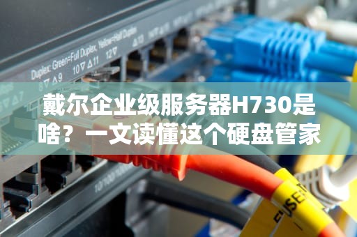 戴尔企业级服务器H730是啥？一文读懂这个硬盘管家的十八般武艺