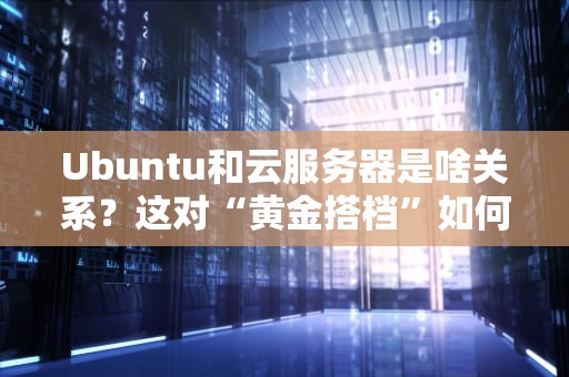 Ubuntu和云服务器是啥关系？这对“黄金搭档”如何让你躺赚？