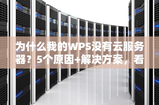 为什么我的WPS没有云服务器？5个原因+解决方案，看完秒懂！