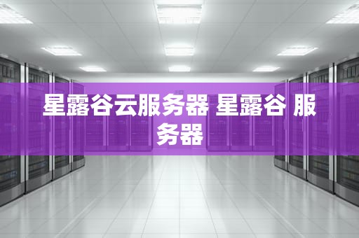 星露谷云服务器 星露谷 服务器
