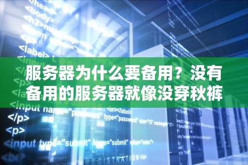 服务器为什么要备用？没有备用的服务器就像没穿秋裤的冬天！