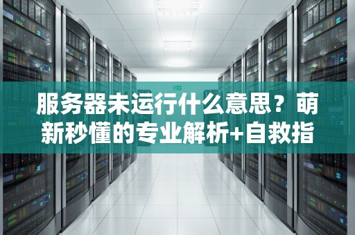 服务器未运行什么意思？萌新秒懂的专业解析+自救指南！
