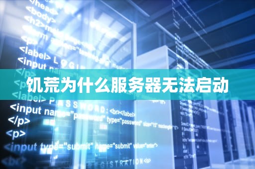 饥荒为什么服务器无法启动