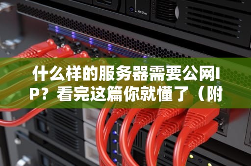 什么样的服务器需要公网IP？看完这篇你就懂了（附真实案例）