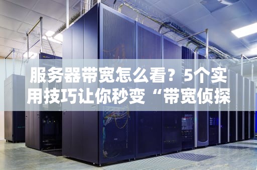 服务器带宽怎么看？5个实用技巧让你秒变“带宽侦探”！