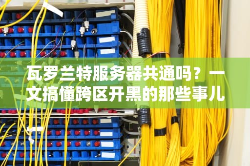 瓦罗兰特服务器共通吗？一文搞懂跨区开黑的那些事儿！