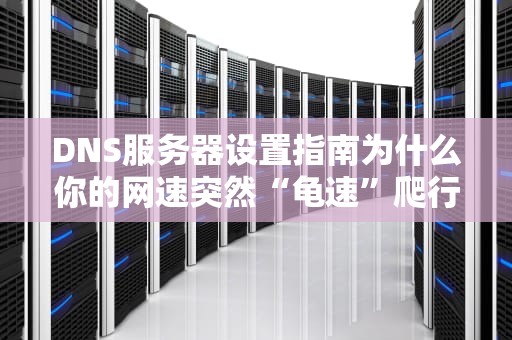 DNS服务器设置指南为什么你的网速突然“龟速”爬行？