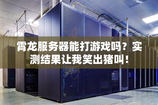 霄龙服务器能打游戏吗？实测结果让我笑出猪叫！