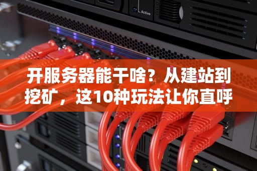 开服务器能干啥？从建站到挖矿，这10种玩法让你直呼真香！
